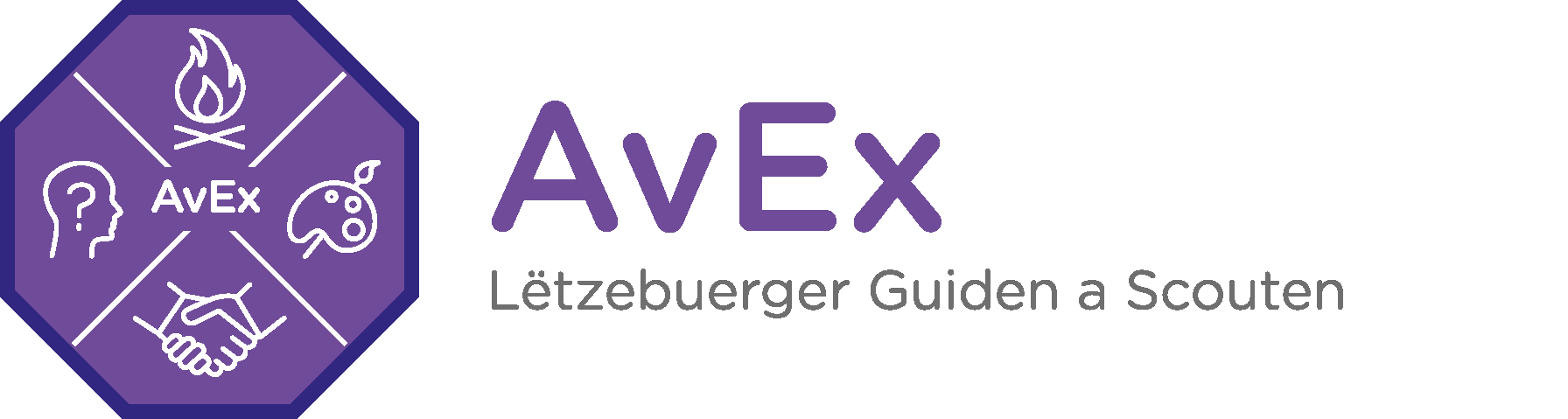 LGS-Site-AvEx