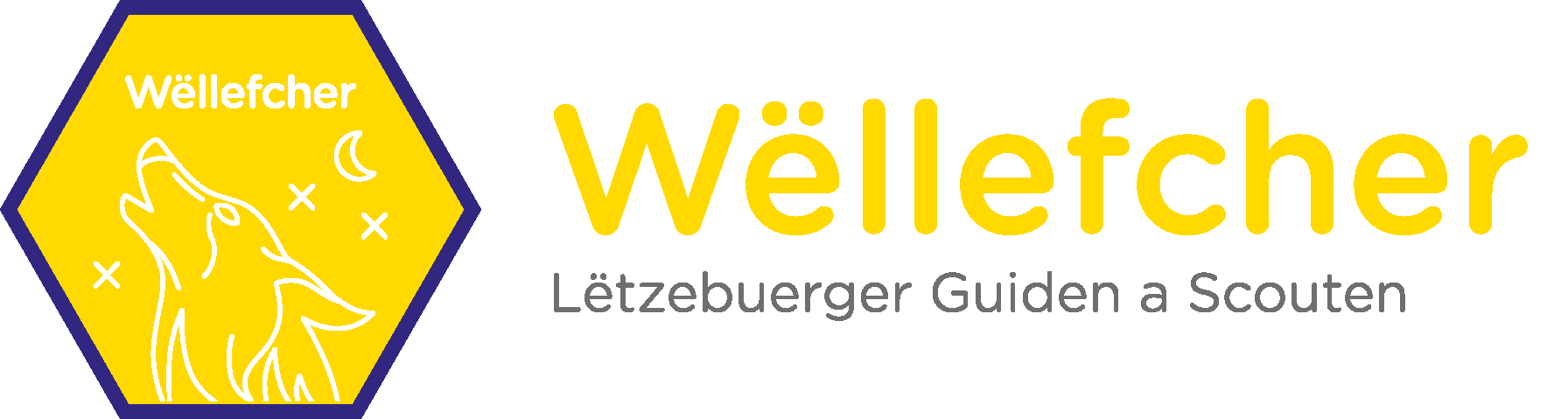 LGS-Site-Wellefcher